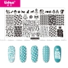 Lidan Nail Art Printing Template DIY Nail Painting Rectangular Steel Plate Nail Art printing Seal Tools 14 types Specification image